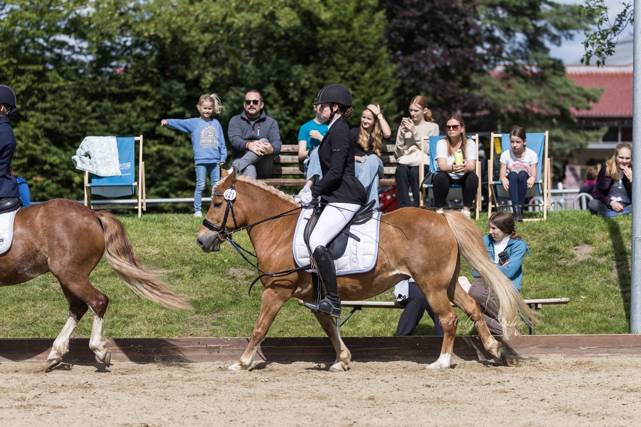Bild 617 - Pony Akademie Turnier
